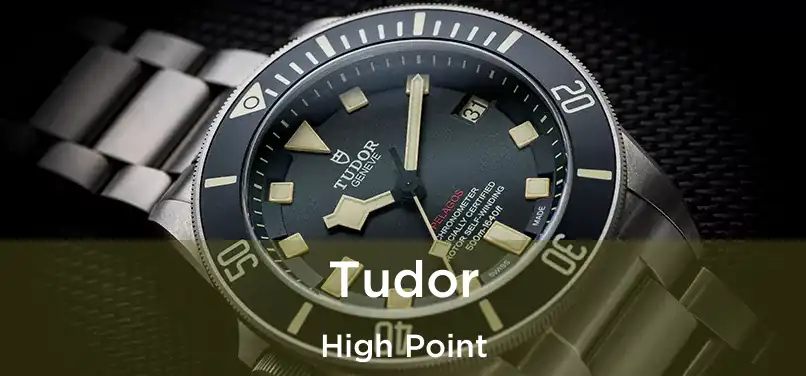 Tudor High Point